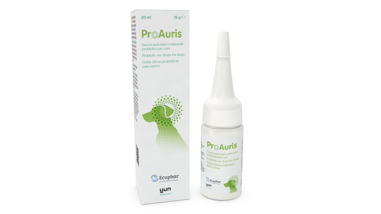 ProAuris IT PACK