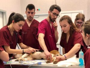 Anestesia de paciente geriátrico