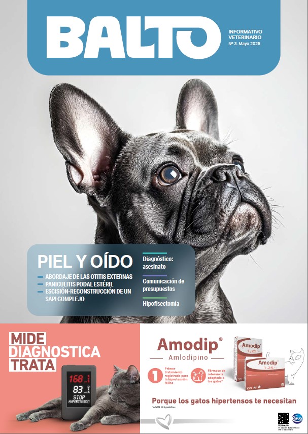 balto3 portada