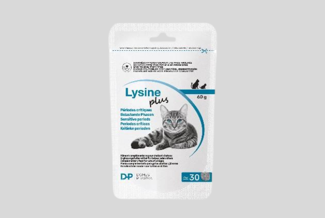 lysine