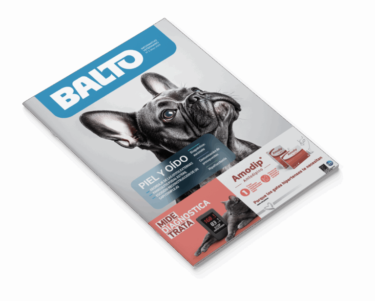 mockup revista balto3