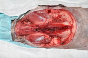 Imagen 14