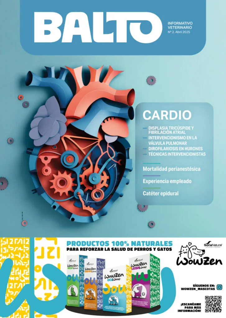 Balto 2 – Abril 2025