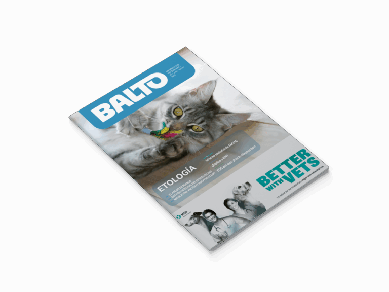 Portada Balto 05