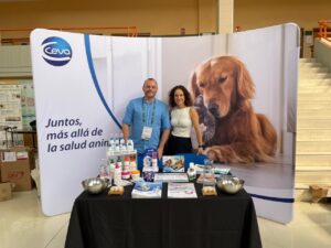 ba5 ceva geda imagen