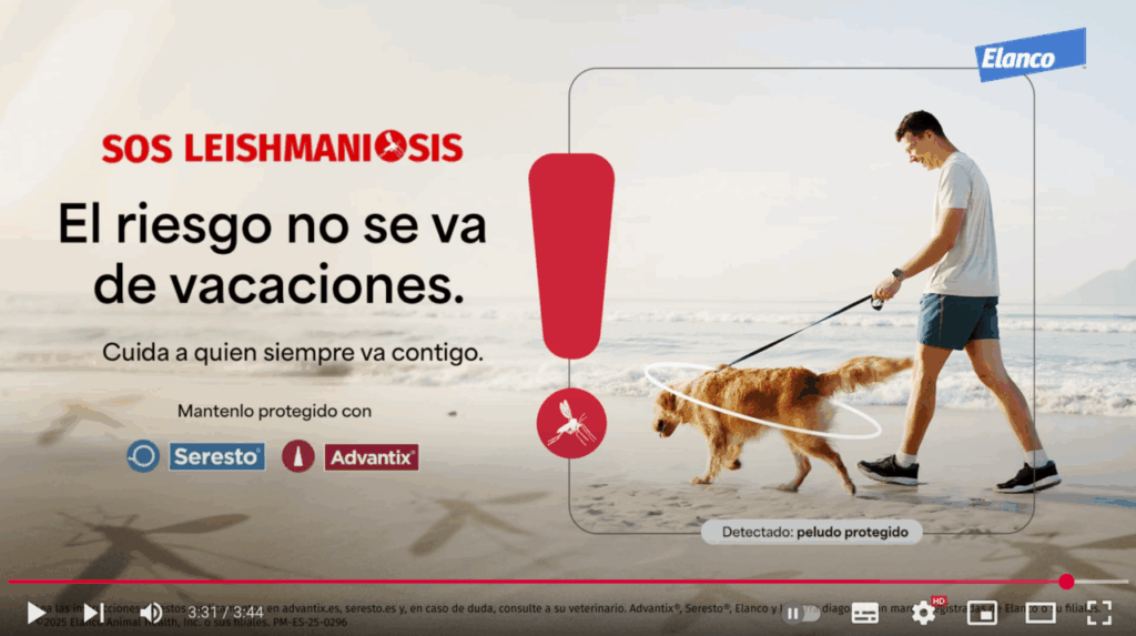 Elanco leishmaniosis imagen