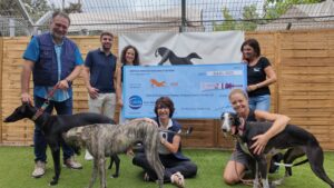 Ceva_NP_SOSGalgos.JPG