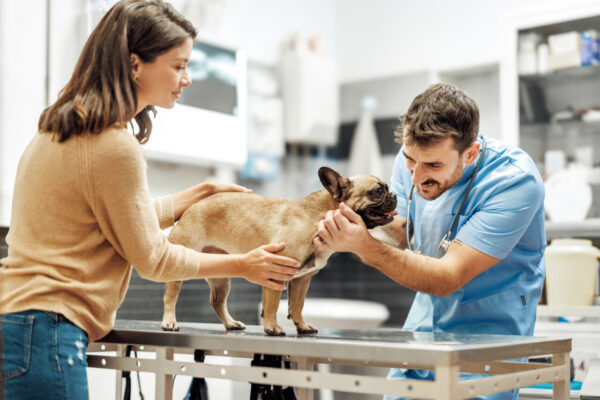 Imagen 1. Los perros con apego seguro suelen cooperar durante la revisión médica sin mostrar una resistencia excesiva. Normalmente son perros sociables y de fácil manejo, siempre y cuando no tengan dolor o hayan tenido una mala experiencia en el veterinario. ba5 apego imagen1.jpeg