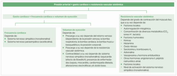 Esquema resumen de los diferentes factores que afectan a la presión arterial. Esquema resumen de los diferentes factores que afectan a la presión arterial.