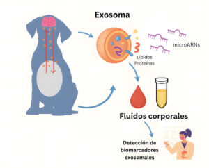 ba6 epilepsia imagen1 upscayl 4x upscayl standard 4x.jpg