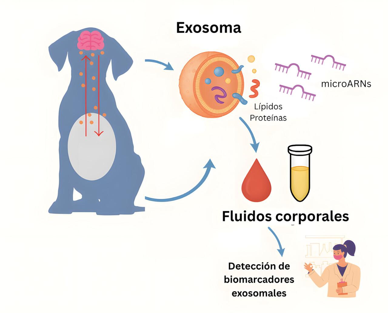 ba6 epilepsia imagen1 upscayl 4x upscayl standard 4x.jpg