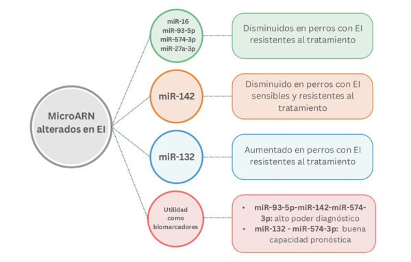 Esquema que ilustra los microARN alterados en perros con EI junto con su utilidad como biomarcadores de esta patología. ba6 epilepsia imagen2.jpg