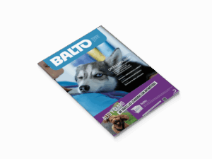 Portada Balto 6