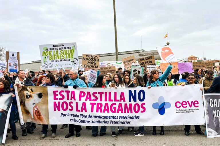 protesta ceve