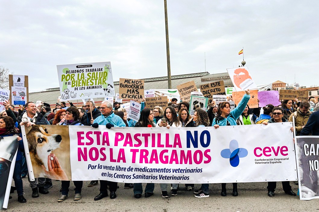 protesta ceve