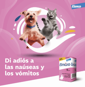 Elmaro, nuevo genérico de maropitant para la prevención y tratamiento de náuseas y vómitos en perros y gatos