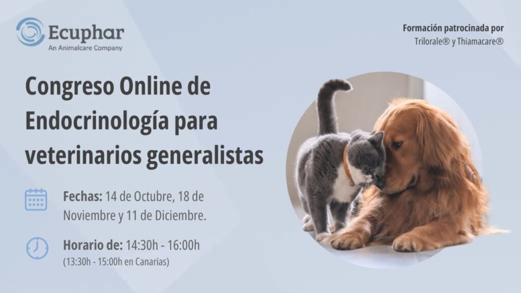 Congreso online Ecuphar sobre endocrinología veterinaria