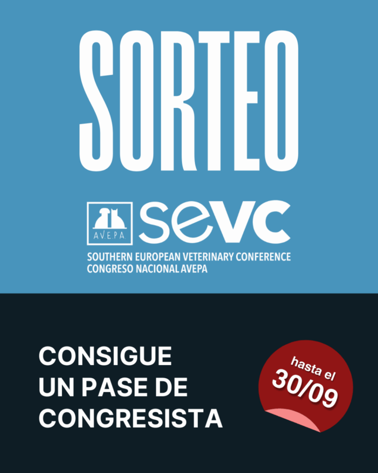 sorteo pase sevc 25