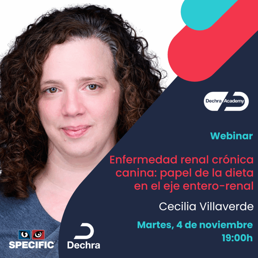 Webinar Internacional Cecilia Villaverde