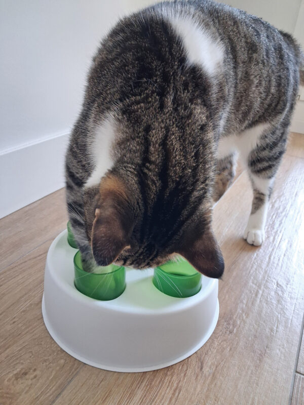 Comedero comercial antivoracidad diseñado para la especie felina.