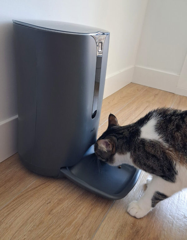 Comedero automático para gatos.