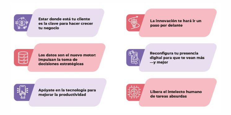 Infografía sobre transformación digital en clínicas veterinarias