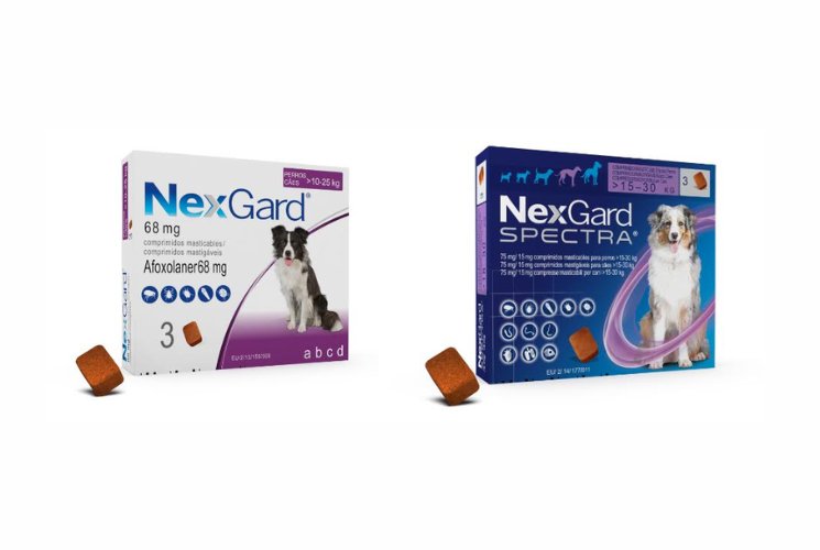 Cajas de NexGard y NexGard SPECTRA para perros con comprimidos masticables