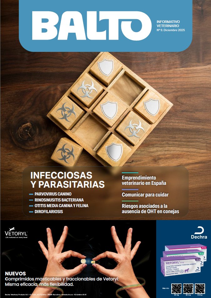 Balto 9 – diciembre 2025