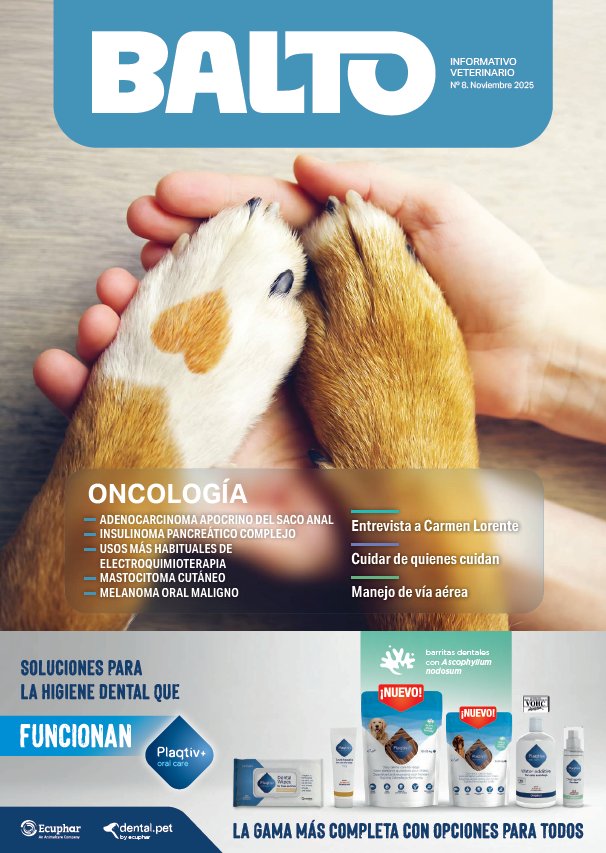 Balto 8 – noviembre 2025