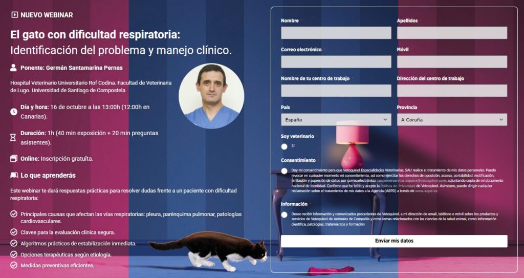 Webinar de Vetoquinol sobre manejo clínico de gatos con dificultad respiratoria