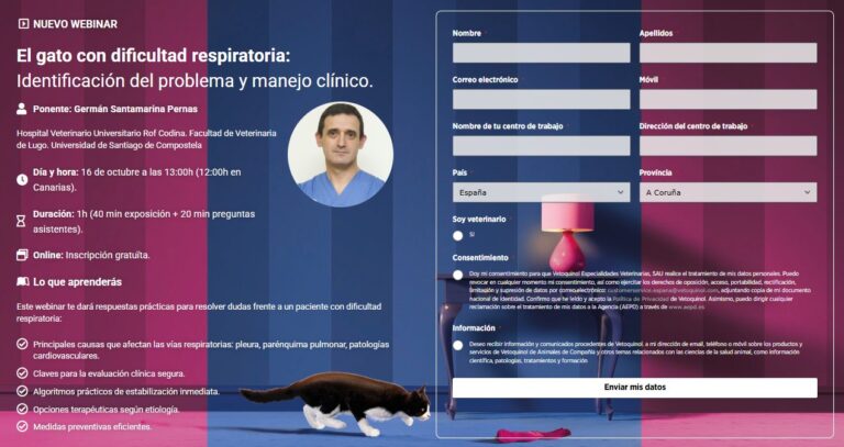 Webinar de Vetoquinol sobre manejo clínico de gatos con dificultad respiratoria