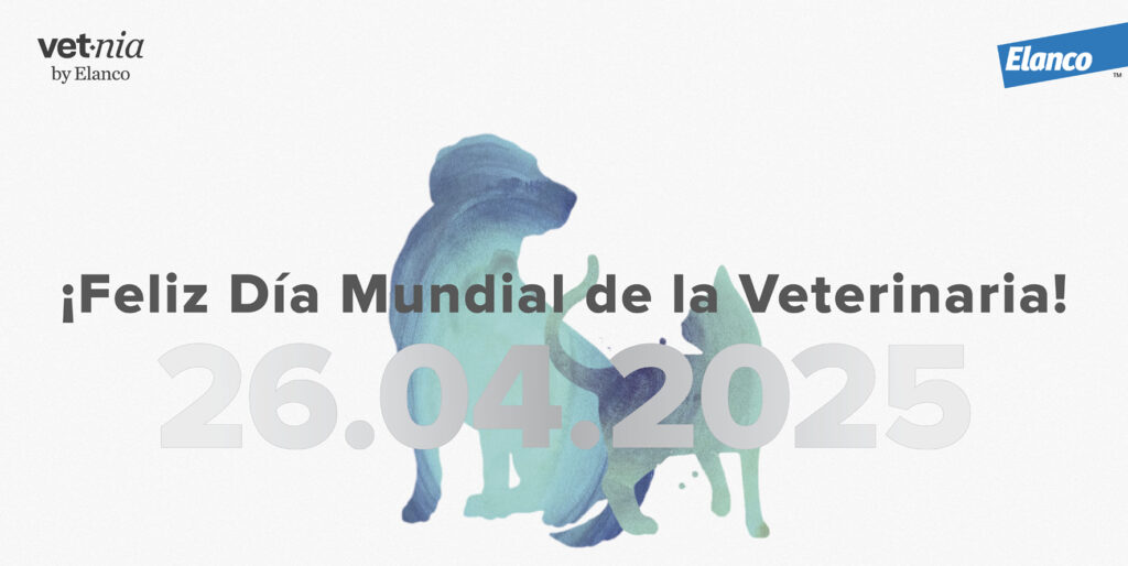 Elanco recibe el premio Bronze Stevie Award por su campaña del Día Mundial de la Veterinaria 2025
