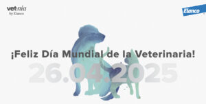 Elanco recibe el premio Bronze Stevie Award por su campaña del Día Mundial de la Veterinaria 2025