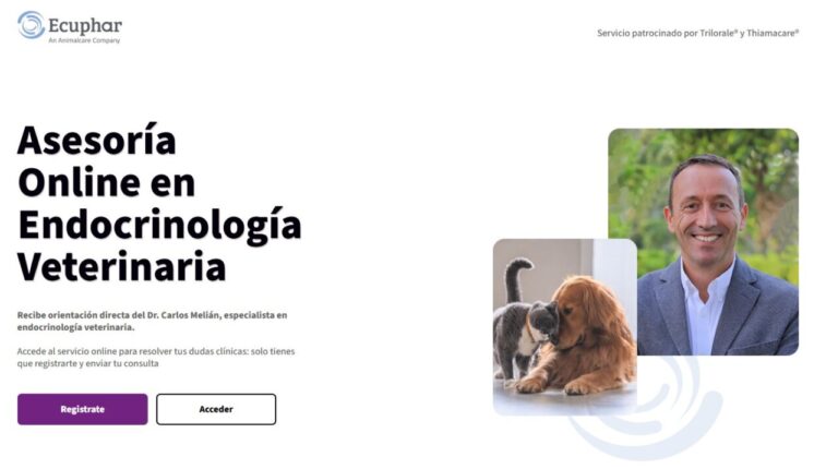 Asesoría online en endocrinología veterinaria a través de la web de Ecuphar con el Dr. Carlos Melián