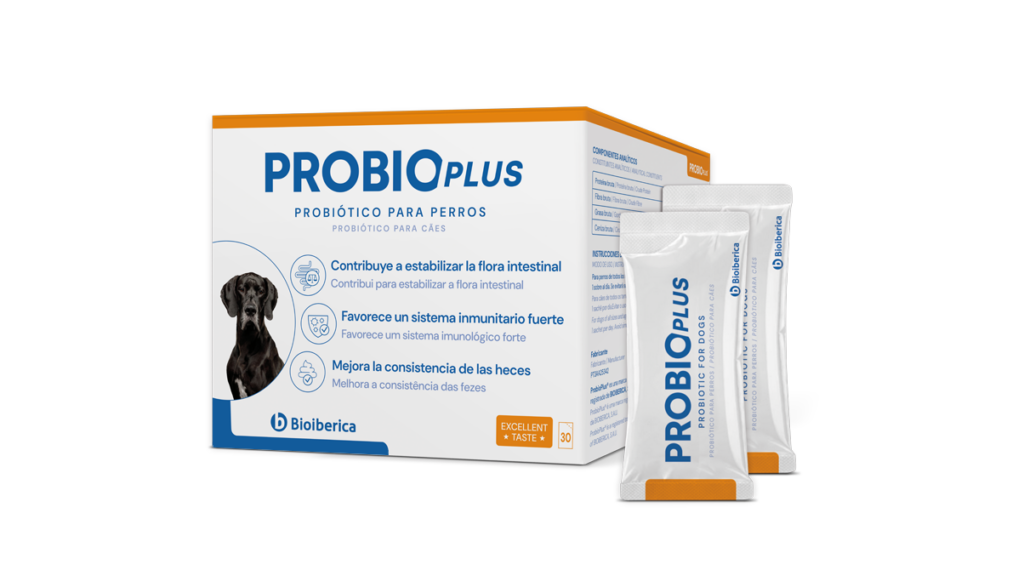 Caja de ProbioPlus probiótico para perros de Bioiberica