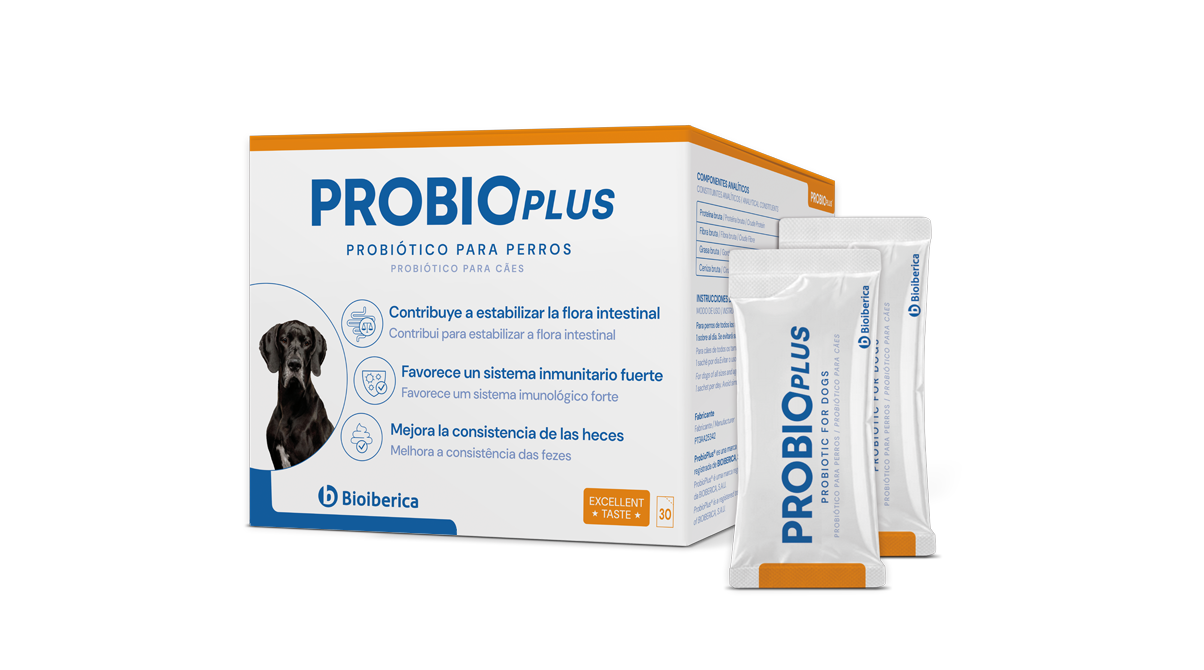 Caja de ProbioPlus probiótico para perros de Bioiberica