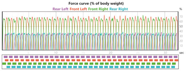 Gráfico que muestra la detección de los pasos y la distribución del peso corporal durante el examen dinámico.