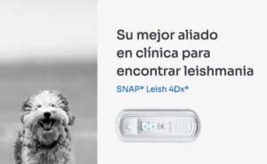Prueba SNAP Leish 4Dx para diagnóstico de leishmaniosis en perros