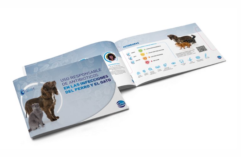 Guía sobre el uso responsable de antibióticos en perros y gatos