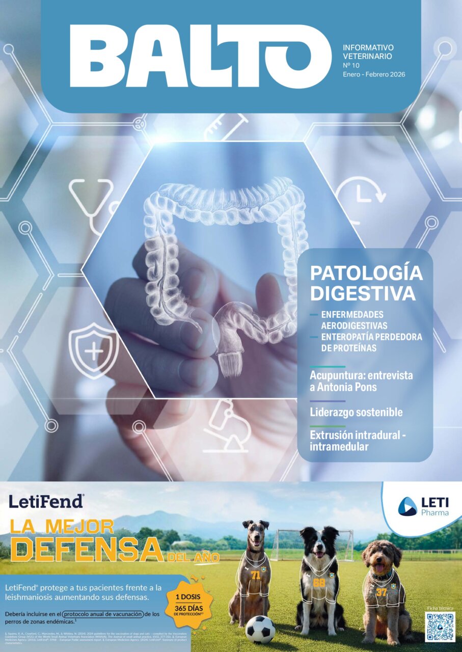 Balto 10 – enero-febrero 2026