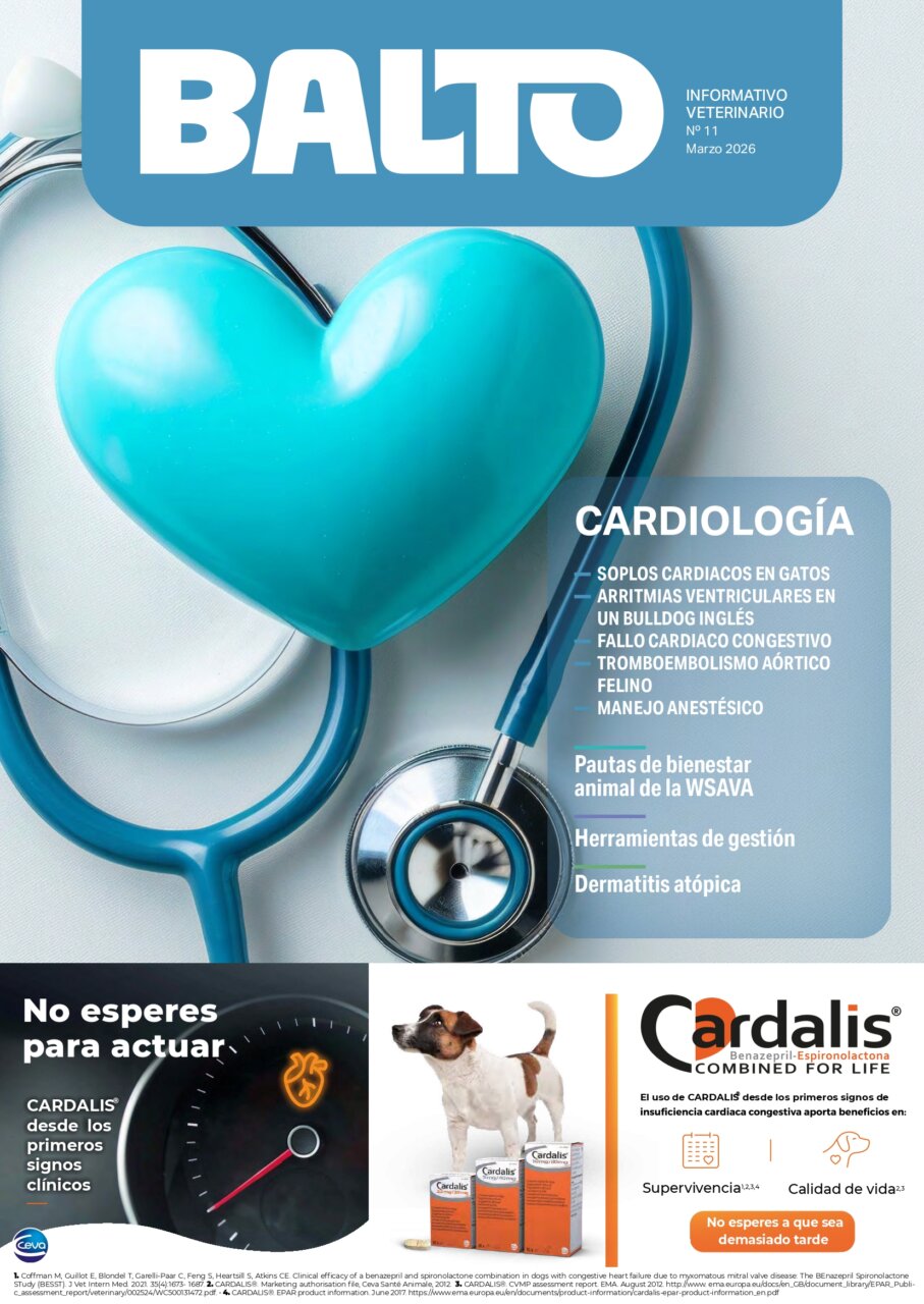 Balto 11 – marzo 2026