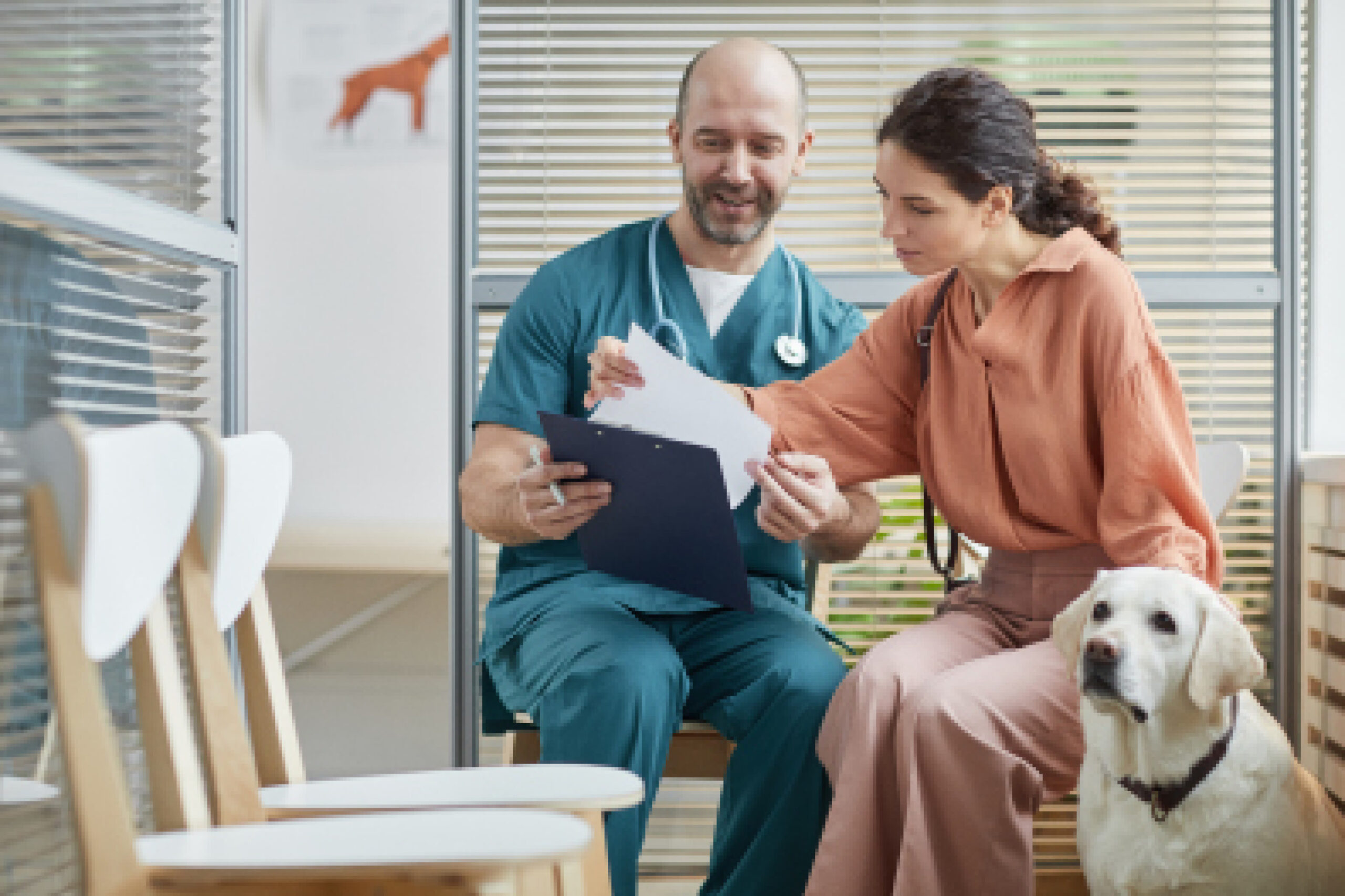 Veterinario y tutor revisando documentos en consulta veterinaria