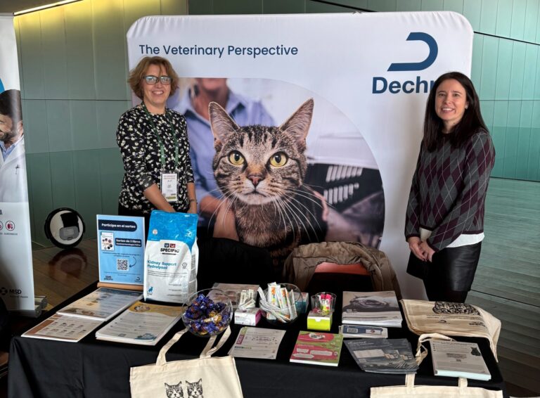 Stand de Dechra durante el evento veterinario GEMFE 2026.