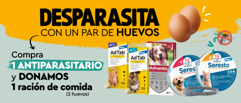 Segunda edición de la campaña solidaria “Desparasita con un par de huevos” a favor a Mensajeros de la Paz