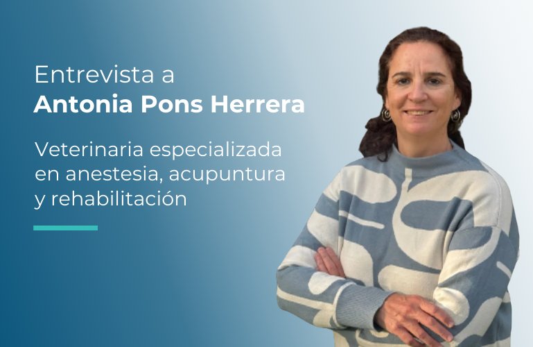 Antonia Pons Herrera, veterinaria especializada en acupuntura y rehabilitación.