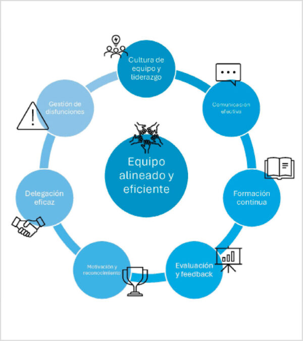 Áreas de acción del responsable efectivo de un centro veterinario