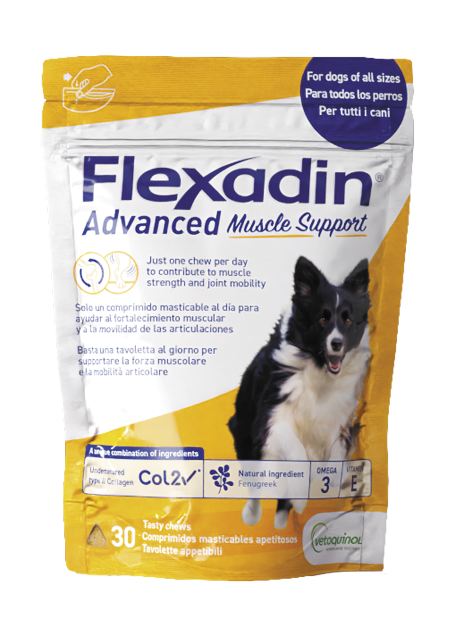 Paquete de Flexadin Advanced Muscle Support para perros