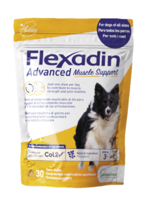 Paquete de Flexadin Advanced Muscle Support para perros