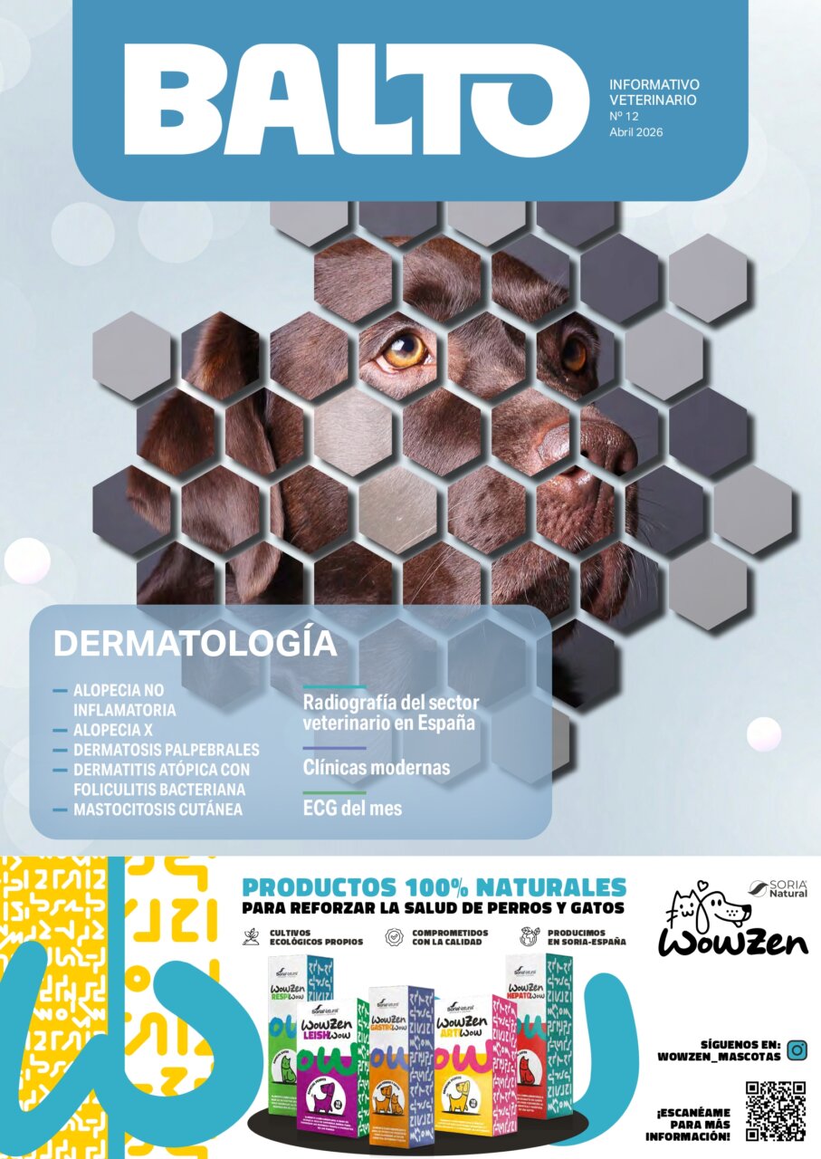Balto 12 – abril 2026