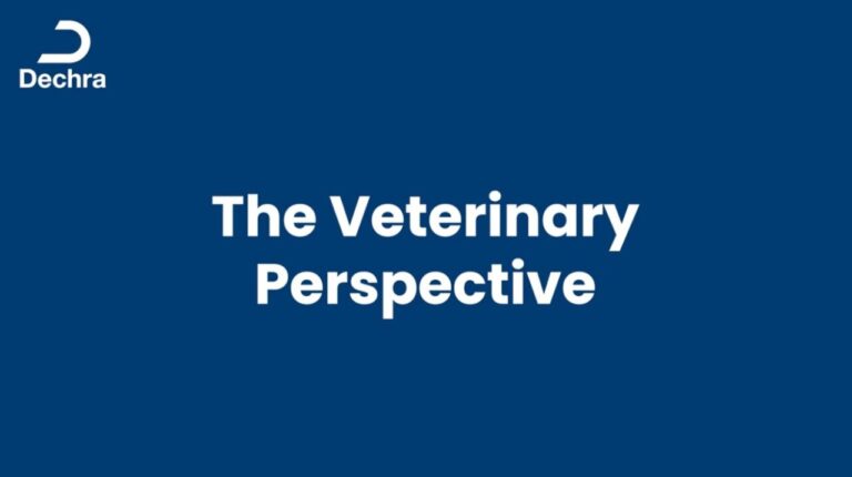 Logo de Dechra con el texto The Veterinary Perspective en fondo azul
